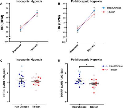 Tibetans exhibit lower hemoglobin concentration and decreased heart response to hypoxia during poikilocapnia at intermediate altitude relative to Han Chinese